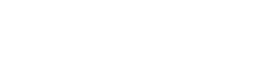 logo ghiottini